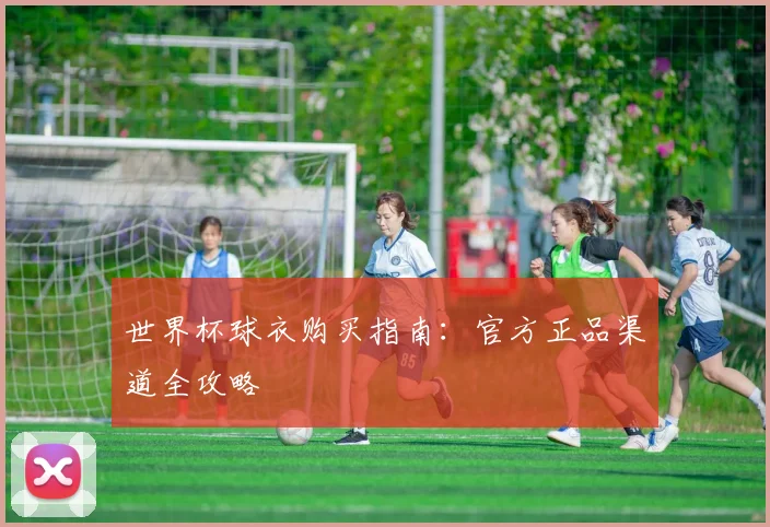 世界杯球衣购买指南:官方正品渠道全攻略