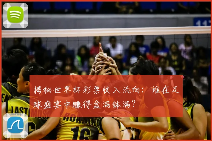 揭秘世界杯彩票收入流向:谁在足球盛宴中赚得盆满钵满?