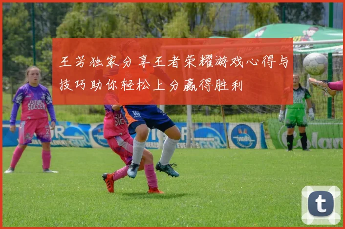 王芳独家分享王者荣耀游戏心得与技巧助你轻松上分赢得胜利