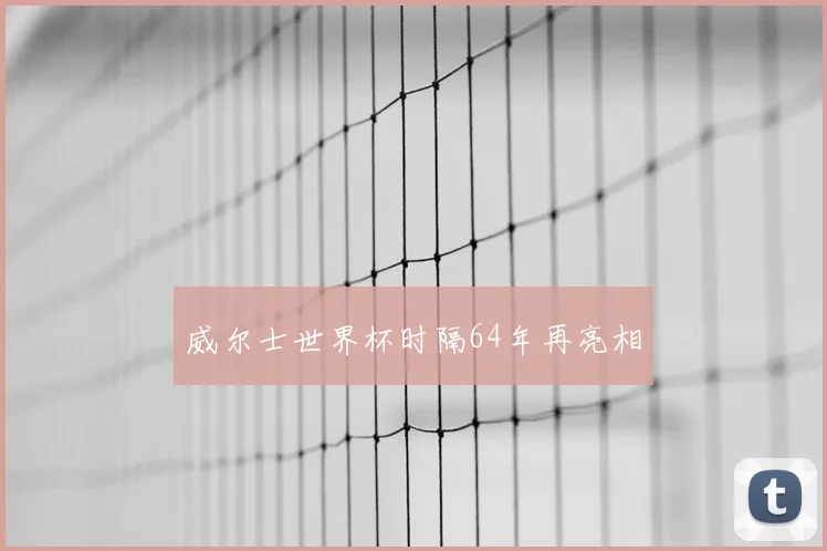 威尔士世界杯时隔64年再亮相