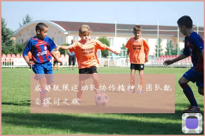 成都极限运动队协作精神与团队配合探讨之旅