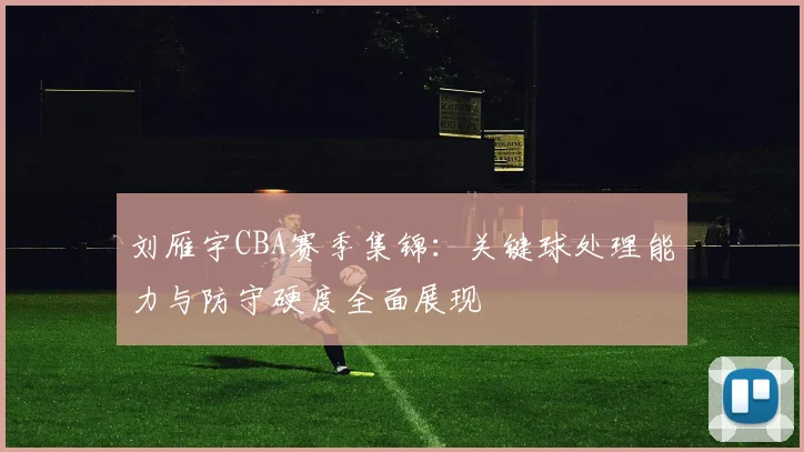 刘雁宇CBA赛季集锦:关键球处理能力与防守硬度全面展现
