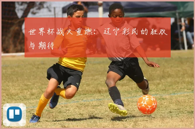 世界杯战火重燃：辽宁彩民的狂欢与期待