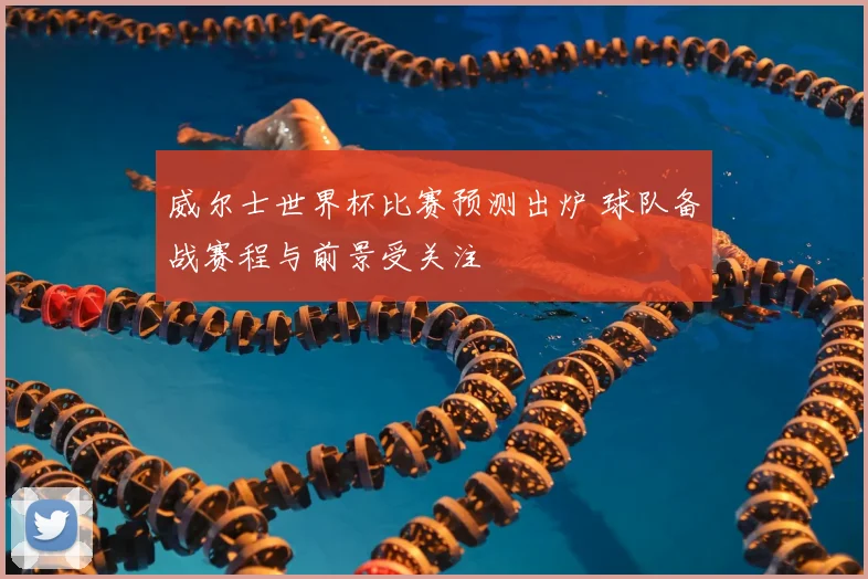 威尔士世界杯比赛预测出炉 球队备战赛程与前景受关注
