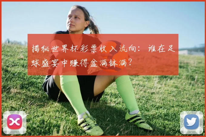 揭秘世界杯彩票收入流向：谁在足球盛宴中赚得盆满钵满？