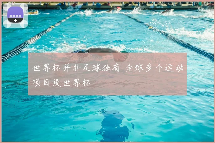 世界杯并非足球独有 全球多个运动项目设世界杯