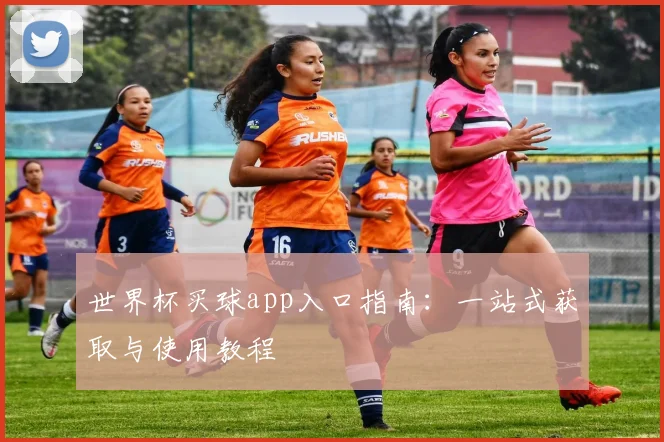 世界杯买球app入口指南:一站式获取与使用教程