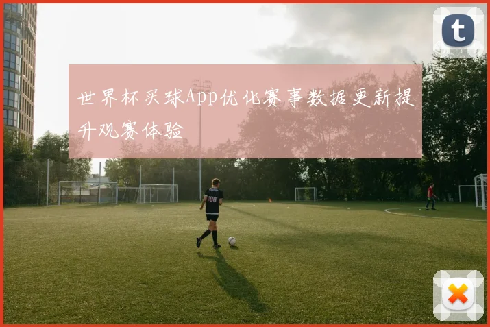 世界杯买球App优化赛事数据更新提升观赛体验