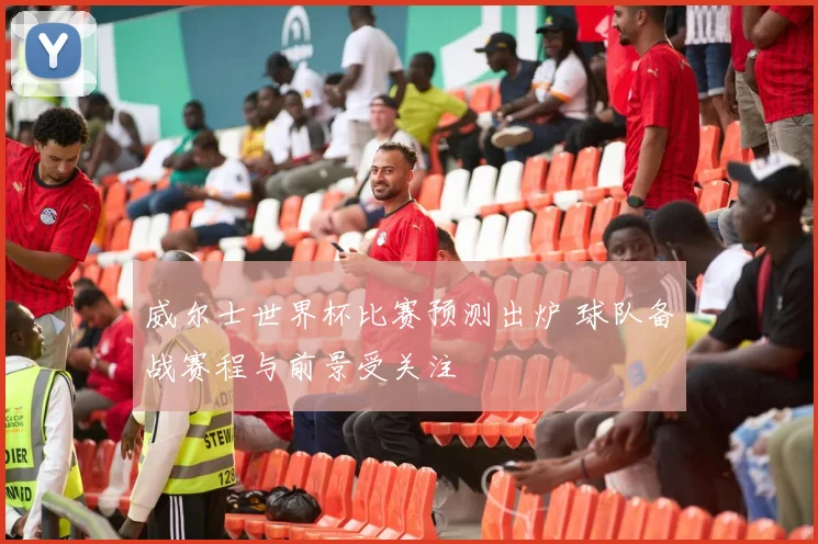 威尔士世界杯比赛预测出炉 球队备战赛程与前景受关注