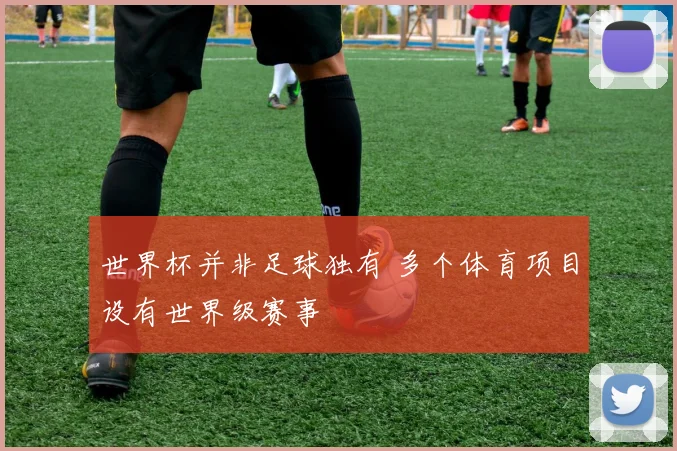 世界杯并非足球独有 多个体育项目设有世界级赛事